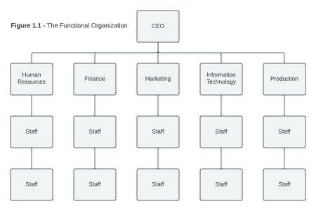 Functional Organization